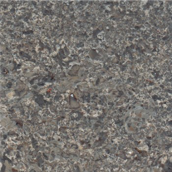 DONASTYA GREY